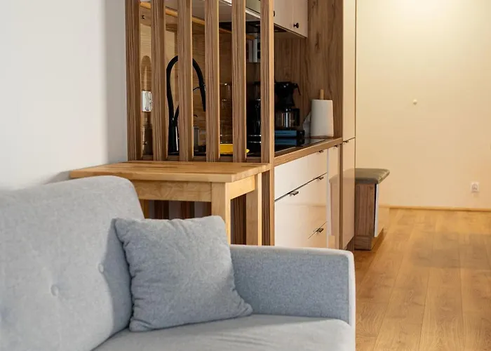 Sea Foam 公寓 德兹维济诺